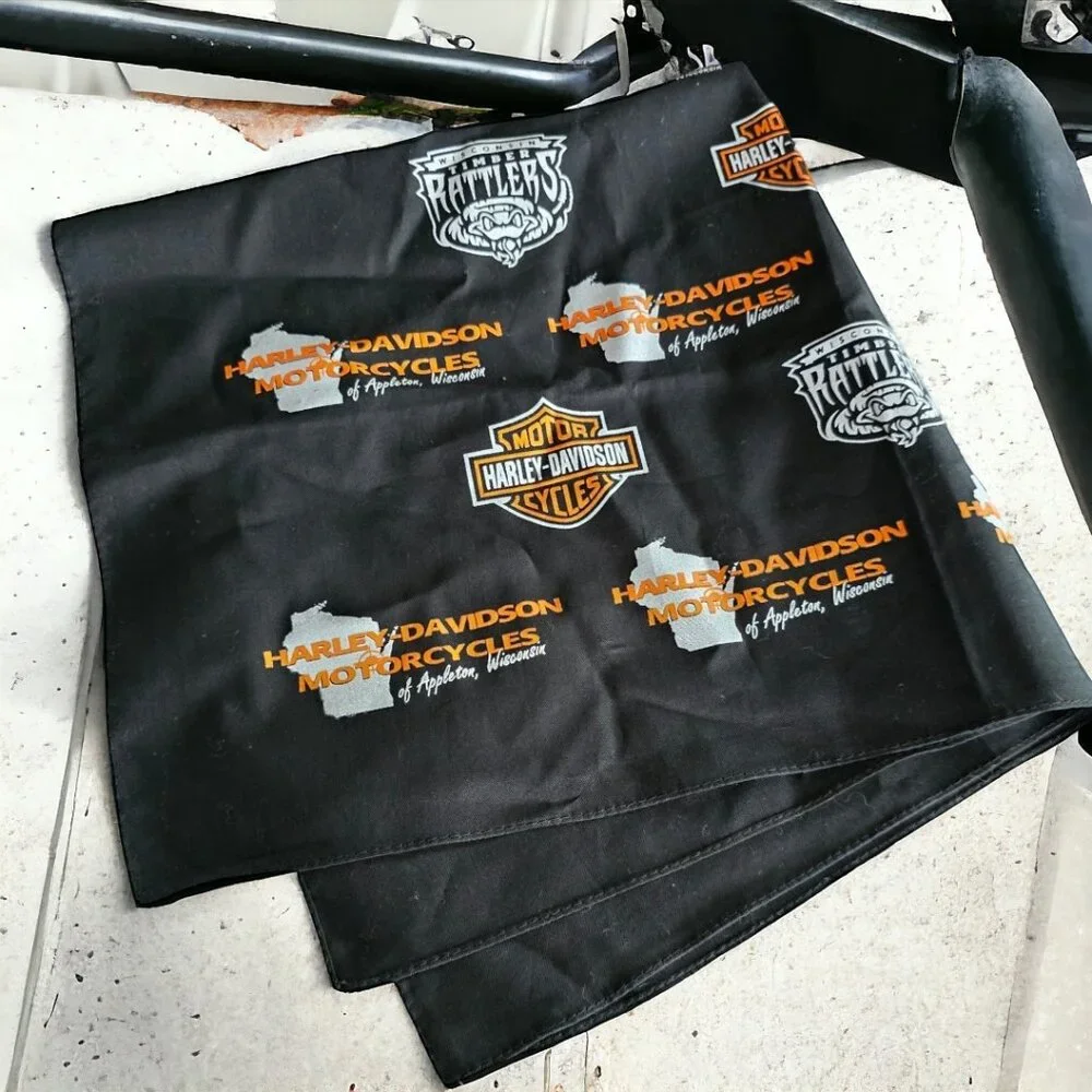HARLEY DAVIDSON ( 22